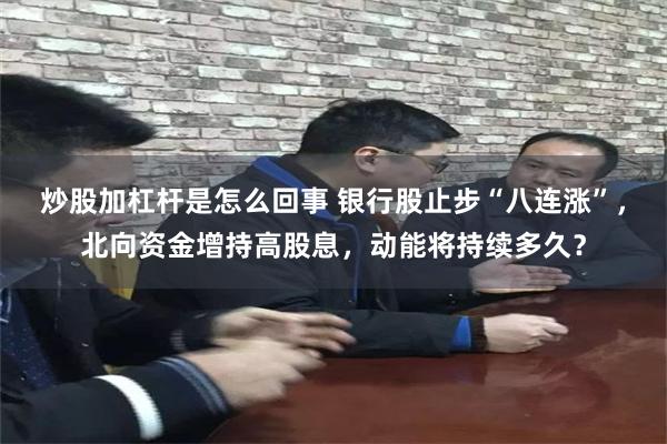 炒股加杠杆是怎么回事 银行股止步“八连涨”，北向资金增持高股息，动能将持续多久？