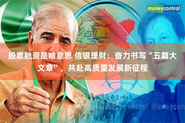股票融资是啥意思 信银理财：奋力书写“五篇大文章”，共赴高质量发展新征程