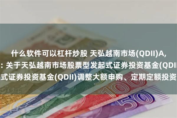 什么软件可以杠杆炒股 天弘越南市场(QDII)A,天弘越南市场(QDII)C: 关于天弘越南市场股票型发起式证券投资基金(QDII)调整大额申购、定期定额投资业务的