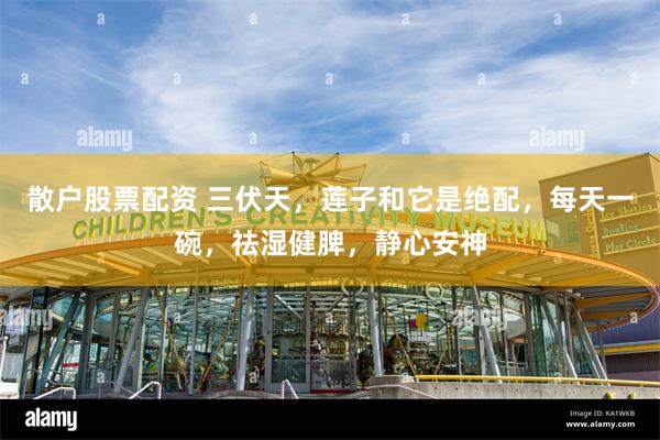 散户股票配资 三伏天，莲子和它是绝配，每天一碗，祛湿健脾，静心安神
