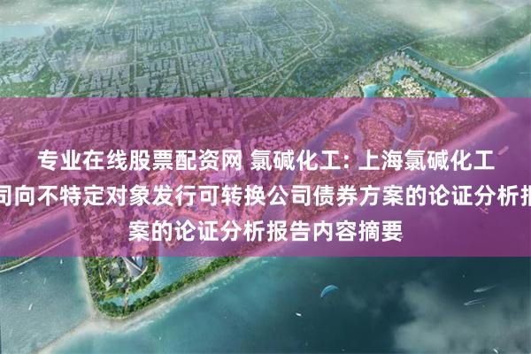 专业在线股票配资网 氯碱化工: 上海氯碱化工股份有限公司向不特定对象发行可转换公司债券方案的论证分析报告内容摘要