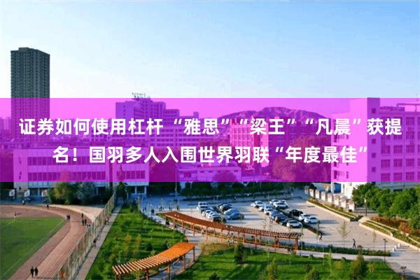 证券如何使用杠杆 “雅思”“梁王”“凡晨”获提名！国羽多人入围世界羽联“年度最佳”