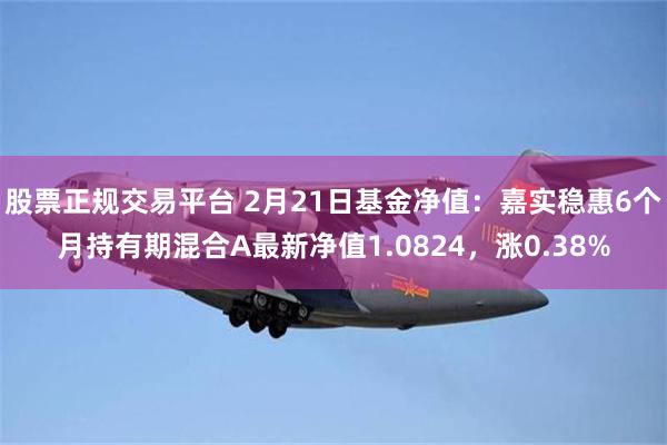 股票正规交易平台 2月21日基金净值：嘉实稳惠6个月持有期混合A最新净值1.0824，涨0.38%