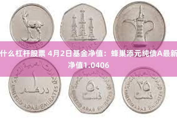 什么杠杆股票 4月2日基金净值：蜂巢添元纯债A最新净值1.0406
