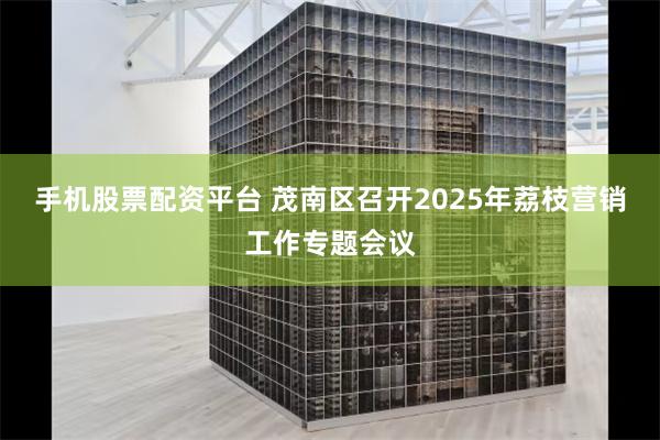 手机股票配资平台 茂南区召开2025年荔枝营销工作专题会议