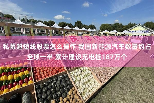 私募超短线股票怎么操作 我国新能源汽车数量约占全球一半 累计建设充电桩187万个