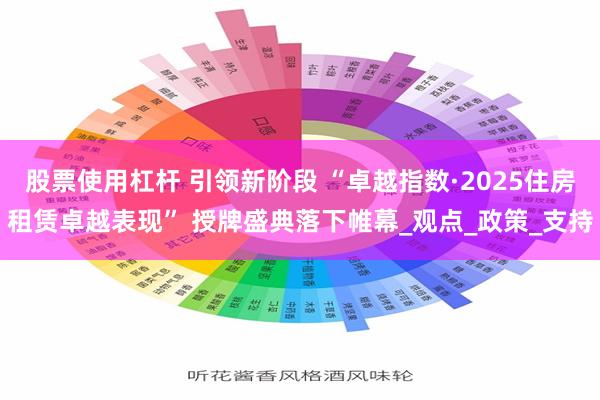 股票使用杠杆 引领新阶段 “卓越指数·2025住房租赁卓越表现” 授牌盛典落下帷幕_观点_政策_支持