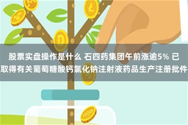 股票实盘操作是什么 石四药集团午前涨逾5% 已取得有关葡萄糖酸钙氯化钠注射液药品生产注册批件