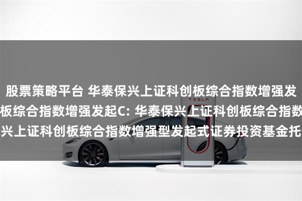 股票策略平台 华泰保兴上证科创板综合指数增强发起A,华泰保兴上证科创板综合指数增强发起C: 华泰保兴上证科创板综合指数增强型发起式证券投资基金托管协议