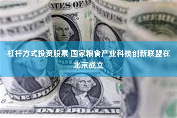 杠杆方式投资股票 国家粮食产业科技创新联盟在北京成立