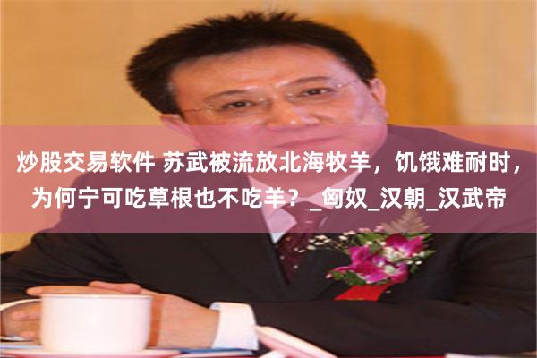 炒股交易软件 苏武被流放北海牧羊，饥饿难耐时，为何宁可吃草根也不吃羊？_匈奴_汉朝_汉武帝