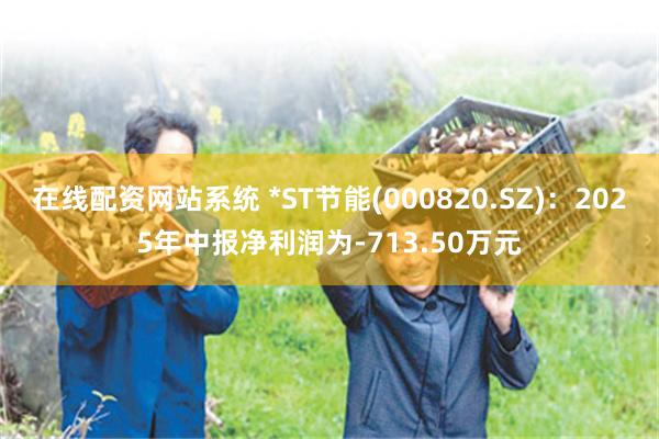 在线配资网站系统 *ST节能(000820.SZ)：2025年中报净利润为-713.50万元