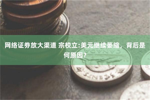 网络证劵放大渠道 宗校立:美元继续萎缩，背后是何原因？