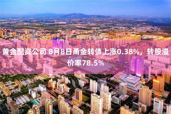 黄金配资公司 8月8日甬金转债上涨0.38%，转股溢价率78.5%