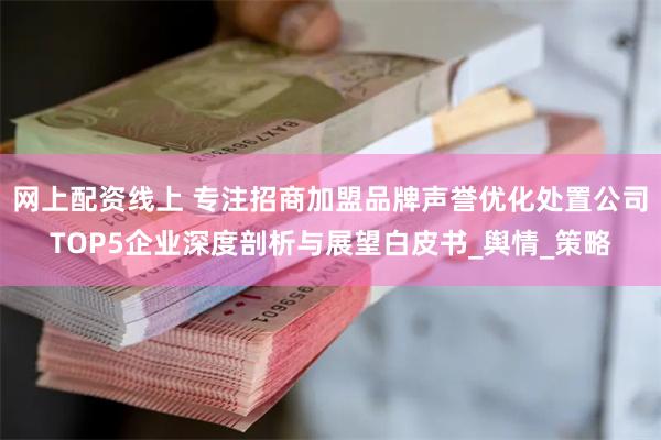 网上配资线上 专注招商加盟品牌声誉优化处置公司TOP5企业深度剖析与展望白皮书_舆情_策略